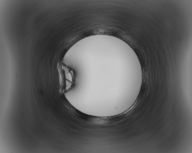 X0000083530094200703021605