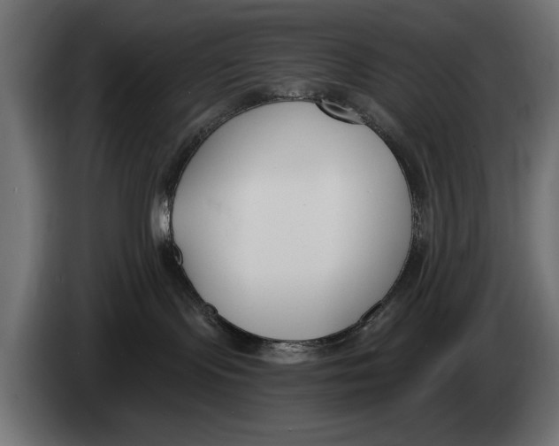 X0000083530095200703021605