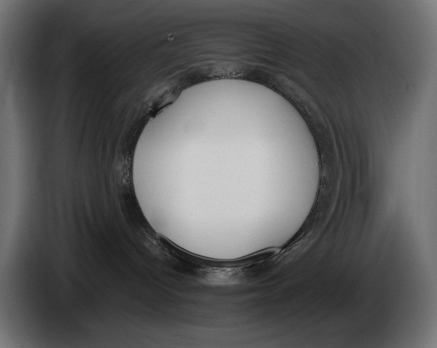 X0000083530096200703021605