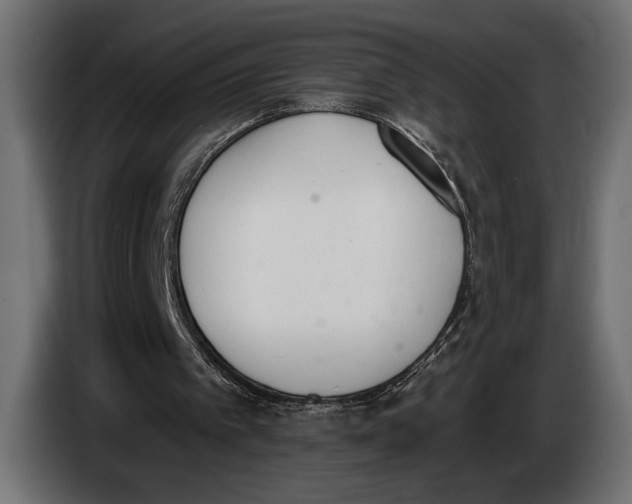 X0000083530097200703021604