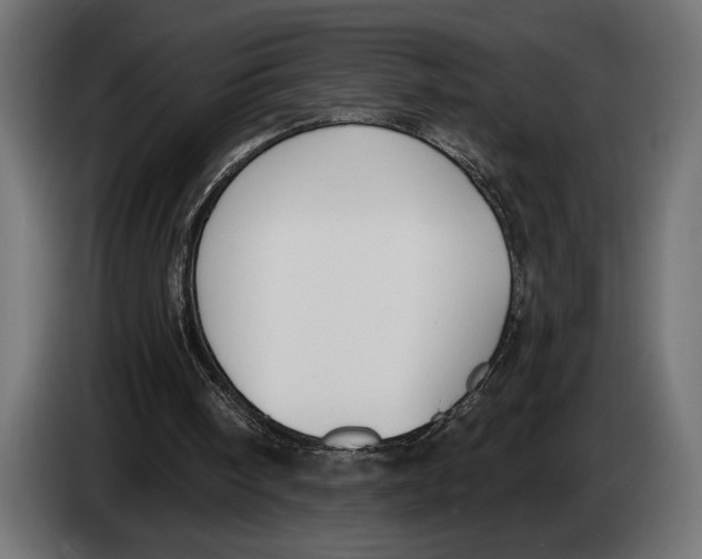 X0000083530098200703021604