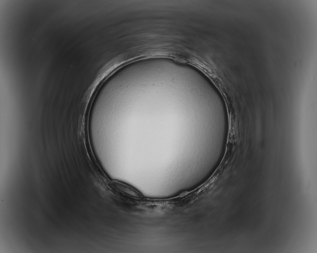 X0000083530099200703021604