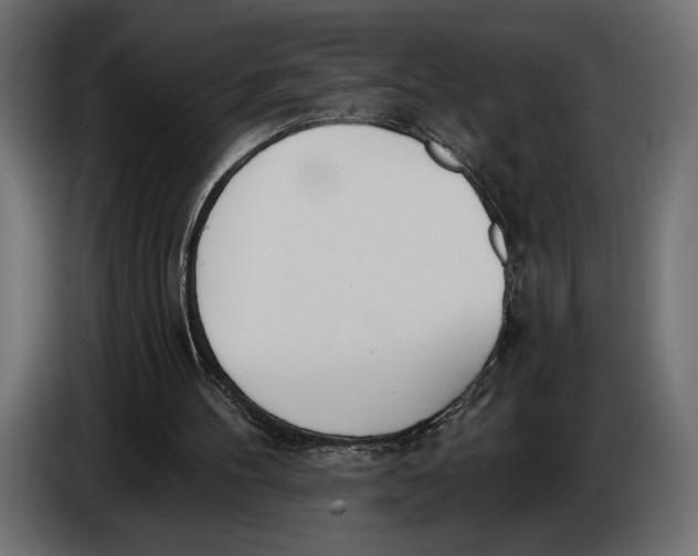 X0000083530100200703021604