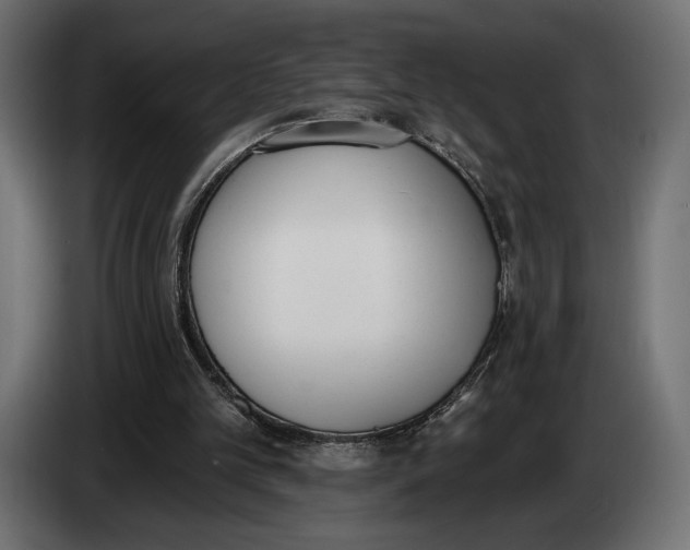 X0000083530101200703021604