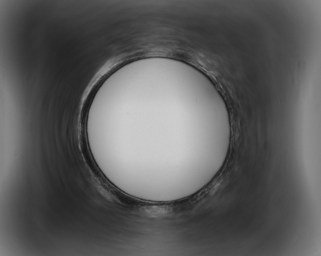 X0000083530102200703021604