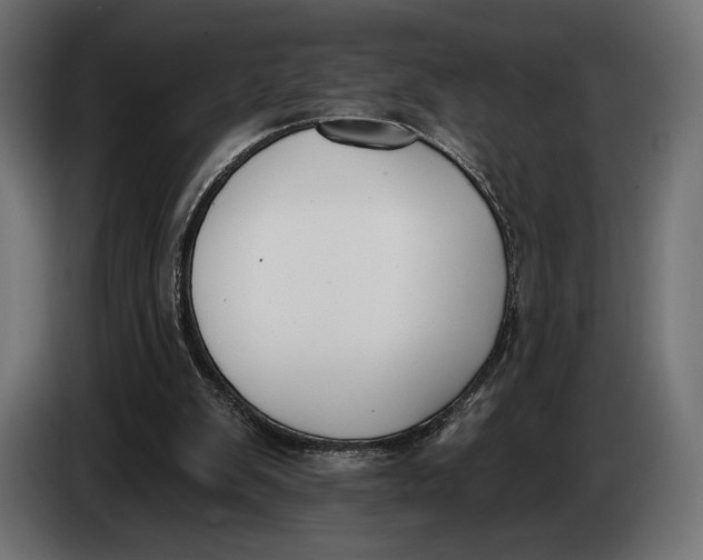 X0000083530103200703021604