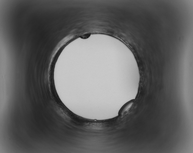 X0000083530104200703021604