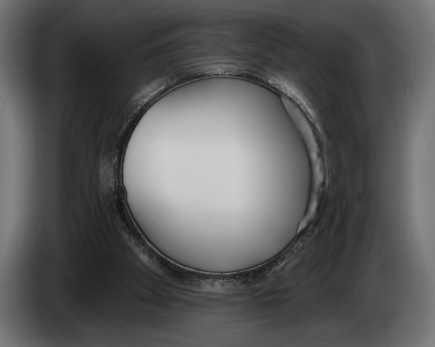 X0000083530105200703021604