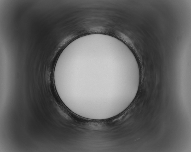 X0000083530106200703021604