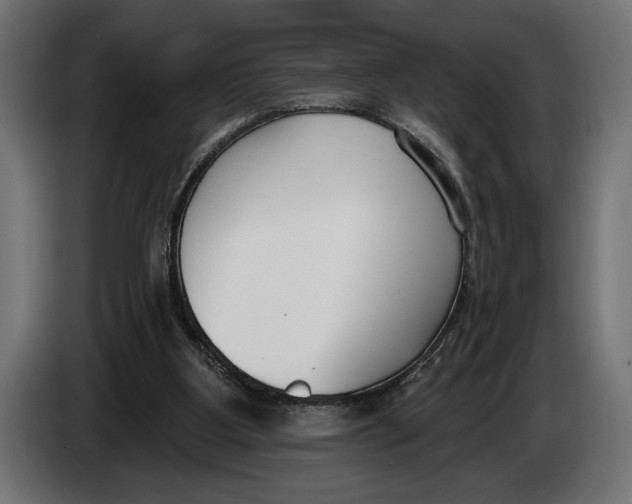 X0000083530107200703021604