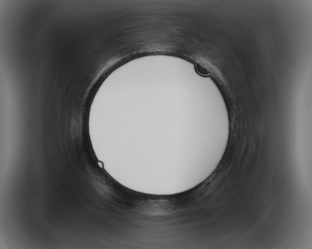 X0000083530108200703021604