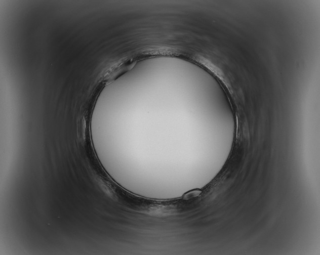 X0000083530109200703021604