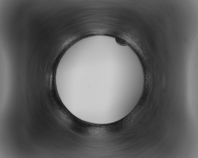 X0000083530110200703021604