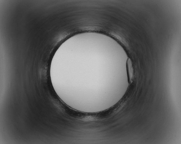 X0000083530111200703021604