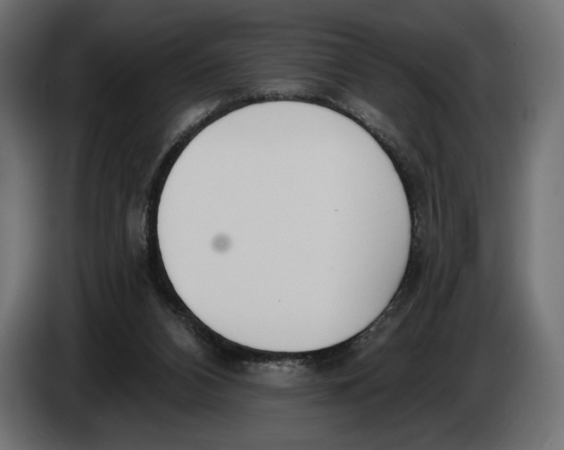 X0000083530112200703021604