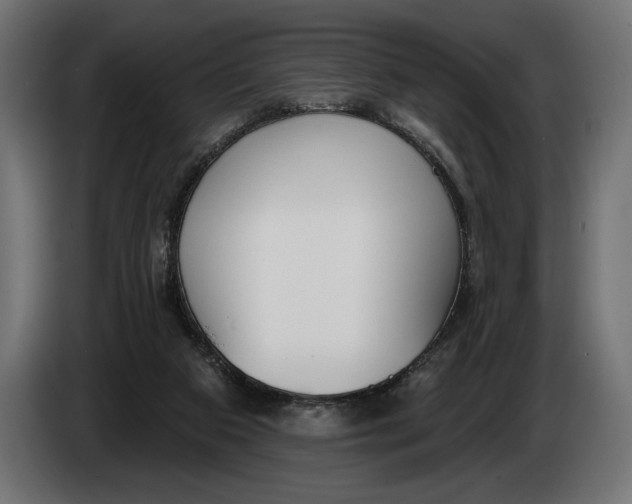 X0000083530113200703021604