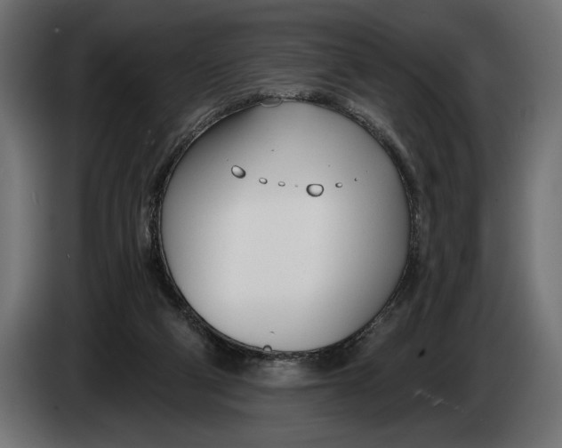 X0000083530114200703021604