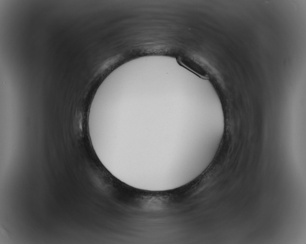 X0000083530115200703021604