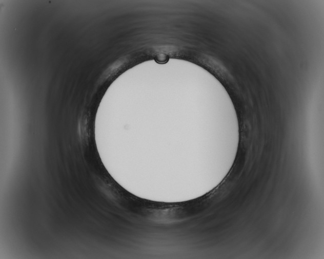 X0000083530116200703021604