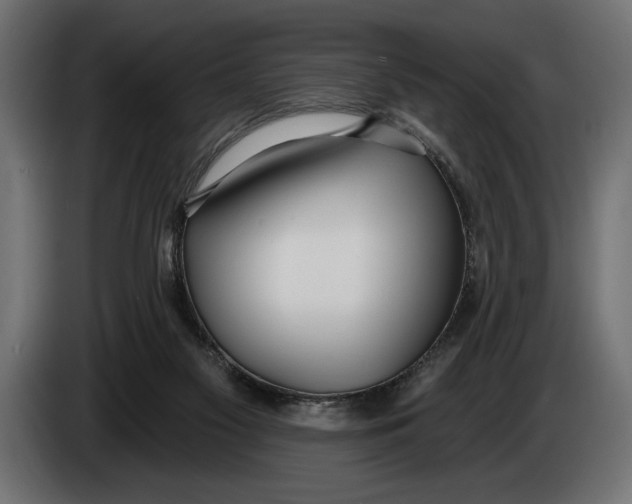 X0000083530117200703021604