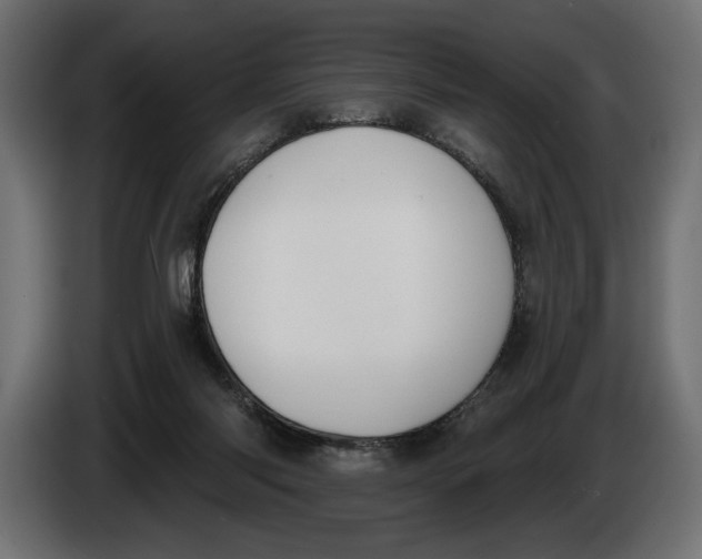 X0000083530118200703021604