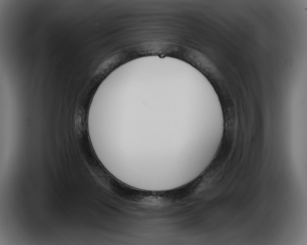 X0000083530119200703021604