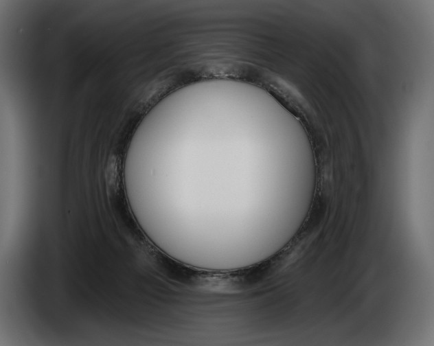 X0000083530121200703021604