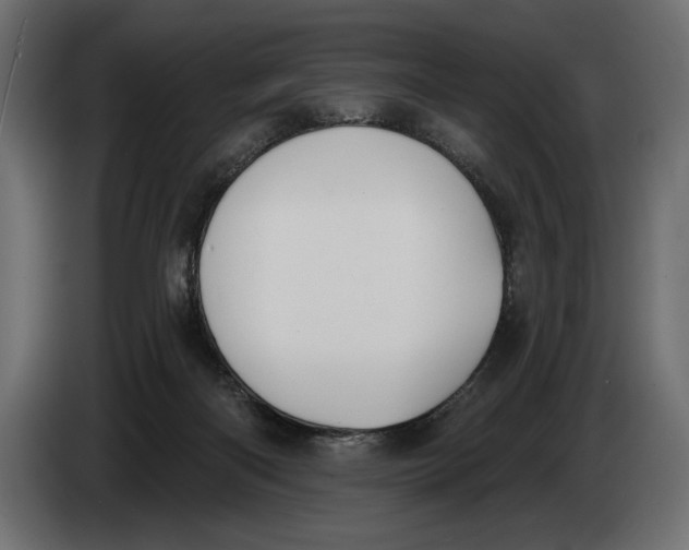 X0000083530122200703021604