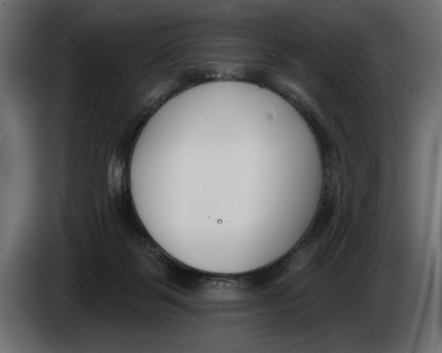 X0000083530123200703021604