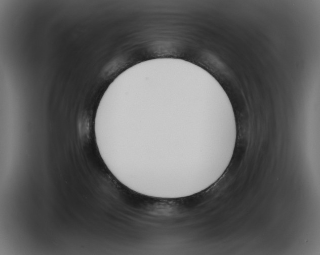 X0000083530124200703021604