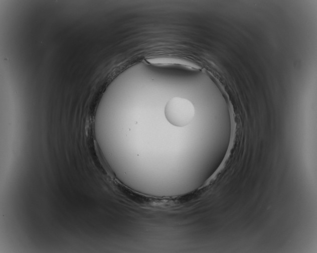 X0000083530125200703021604