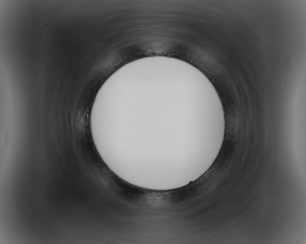 X0000083530126200703021603