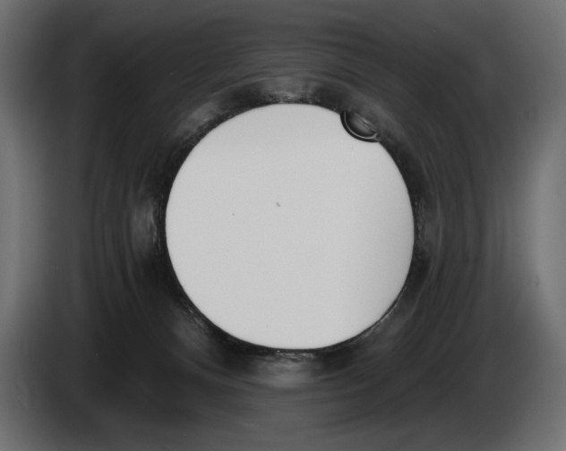 X0000083530128200703021603