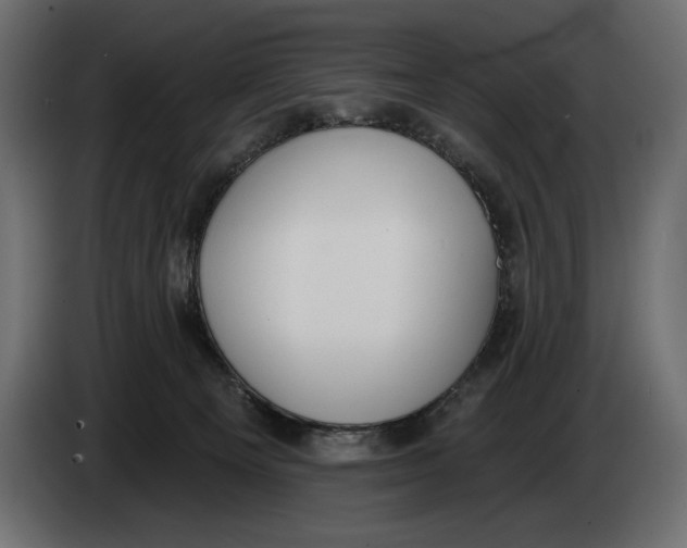 X0000083530129200703021603