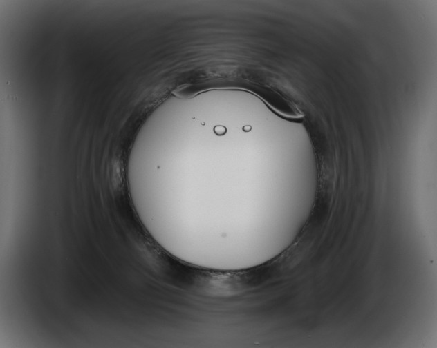 X0000083530130200703021603