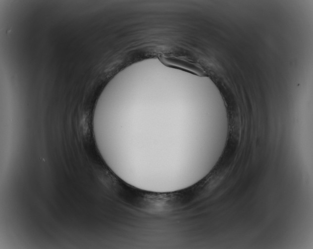 X0000083530131200703021603