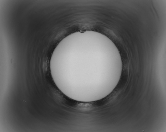 X0000083530133200703021603