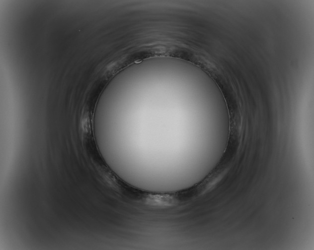 X0000083530137200703021603