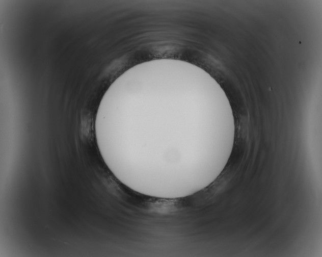 X0000083530138200703021603