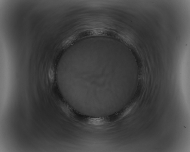 X0000083530139200703021603