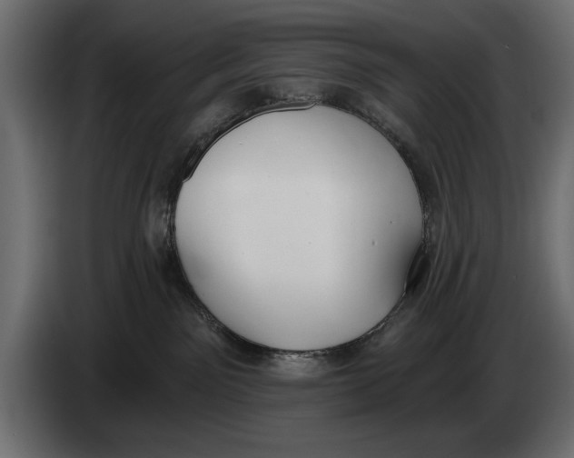 X0000083530141200703021603