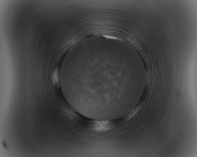 X0000083530143200703021603