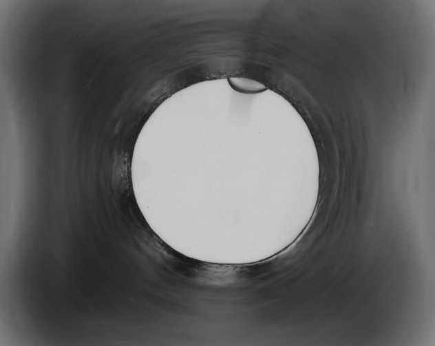 X0000083530144200703021603