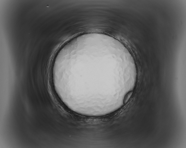 X0000083530145200703021602