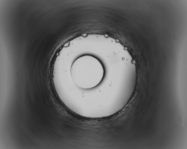 X0000083530146200703021602