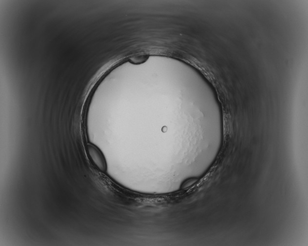 X0000083530147200703021602