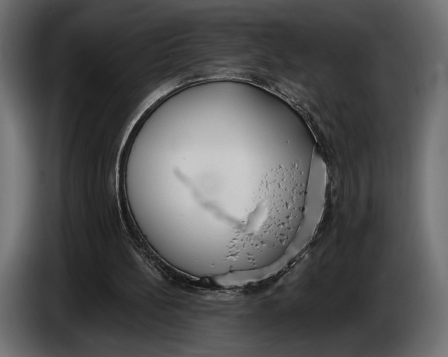 X0000083530148200703021602