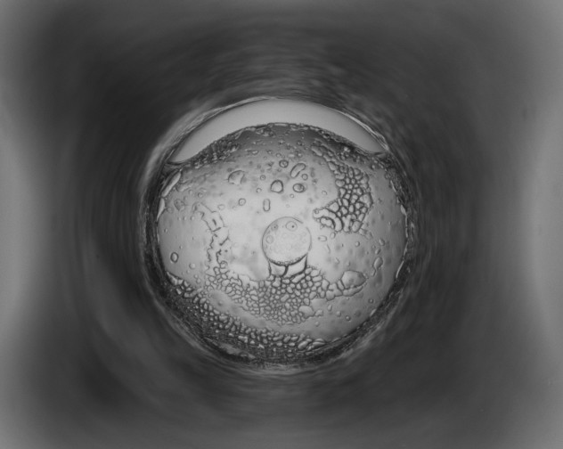 X0000083530149200703021602