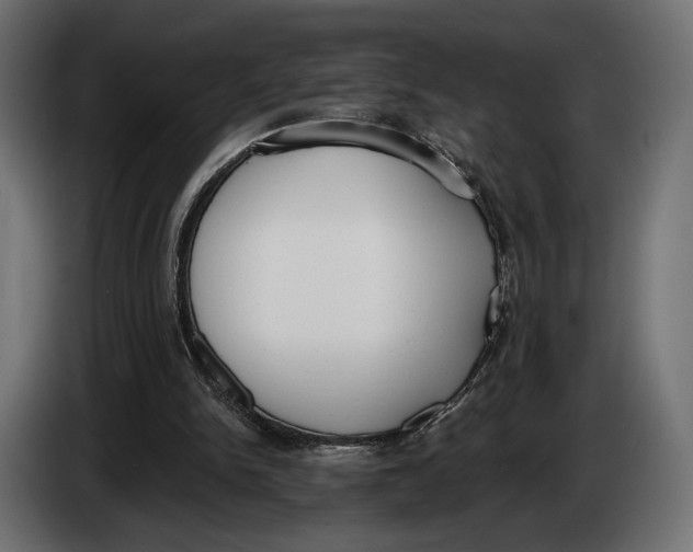 X0000083530150200703021602