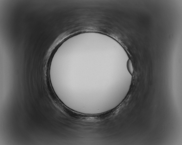 X0000083530151200703021602